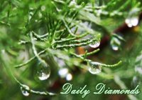 Daily Diamonds Daily Diamonds