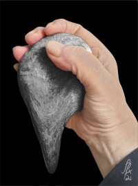 The Malleable Stones The Malleable Stones