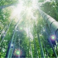 Lost - The Final Conclusion Is ... Lost - The Final Conclusion Is ...