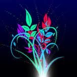 Energy Flowers by Sasha Lee Energy Flowers by Sasha Lee