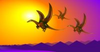The Dragon People Meditation The Dragon People Meditation