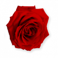 Three Funeral Poems Three Funeral Poems