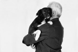 One Love - Animals, Humans & Angels One Love - Animals, Humans & Angels