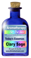 Aromatherapy For Your Soul - The Aroma Energy Project with Silvia Hartmann