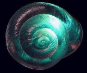 A beautiful abalone coloured snail shell - a natural spiral and I just love it!