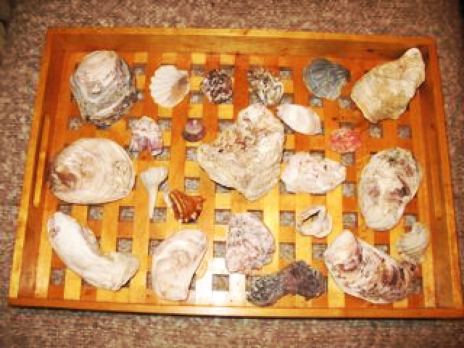 Energy Symbols on oyster shells