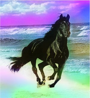 Spirit Horse on the beach