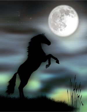 Spirit horse under the full moon
